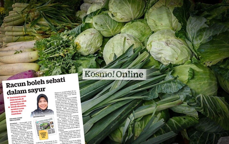 Krisis Racun Sistemik: Dari Mekanisme Molekul ke Solusi Sensor Pintar (SPE)