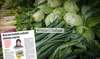 Krisis Racun Sistemik: Dari Mekanisme Molekul ke Solusi Sensor Pintar (SPE)